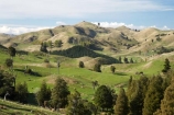 agricultural;agriculture;Bells-Junction;Central-North-Island;Central-Plateau;country;countryside;farm;farming;farmland;farms;field;fields;meadow;meadows;N.I.;N.Z.;near-Waiouru;New-Zealand;NI;North-Island;NZ;Owhakura-Road;paddock;paddocks;pasture;pastures;Rangitikei-District;Ruapehu-District;rural;sheep;stock