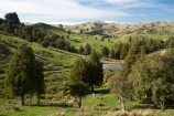 agricultural;agriculture;Bells-Junction;Central-North-Island;Central-Plateau;country;countryside;farm;farming;farmland;farms;field;fields;meadow;meadows;N.I.;N.Z.;near-Waiouru;New-Zealand;NI;North-Island;NZ;Owhakura-Road;paddock;paddocks;pasture;pastures;Rangitikei-District;Ruapehu-District;rural