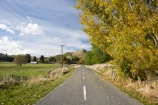 autuminal;autumn;autumn-colour;autumn-colours;autumnal;Central-North-Island;Central-Plateau;centre-line;centre-lines;centre_line;centre_lines;centreline;centrelines;color;colors;colour;colours;deciduous;driving;fall;leaf;leaves;N.I.;N.Z.;New-Zealand;NI;North-Island;NZ;open-road;open-roads;Rangitikei-District;Rangiwaea-Junction;road;road-trip;roads;Ruapehu-District;season;seasonal;seasons;transport;transportation;travel;traveling;travelling;tree;trees;trip;Waiouru