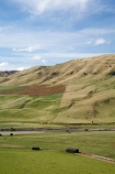 agricultural;agriculture;Central-North-Island;country;countryside;farm;farming;farmland;farms;field;fields;meadow;meadows;N.I.;N.Z.;Napier-_-Taihape-Road;New-Zealand;NI;North-Island;NZ;paddock;paddocks;pasture;pastures;Rangitikei-District;Rangitikei-River;rural;valley;valleys