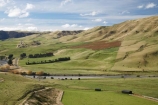 agricultural;agriculture;autuminal;autumn;autumn-colour;autumn-colours;autumnal;Central-North-Island;country;countryside;fall;farm;farming;farmland;farms;field;fields;meadow;meadows;N.I.;N.Z.;Napier-_-Taihape-Road;New-Zealand;NI;North-Island;NZ;paddock;paddocks;pasture;pastures;Rangitikei-District;Rangitikei-River;rural;season;seasonal;seasons;valley;valleys