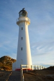 beacon;beacons;castle;Castle-Point;Castle-Point-Lighthouse;castlepoint;Castlepoint-Lighthouse;Castlepoint-scenic-reserve;coast;coastal;coastline;coastlines;coasts;island;light;light-house;light-houses;lighthouse;light_house;lighthouses;light_houses;lights;Lower-North-Island;N.I.;N.Z.;navigate;Navigation;new;new-zealand;NI;north;North-Is;north-is.;north-island;NZ;o8l6650;ocean;oceans;point;tower;towers;wairarapa;zealand