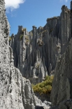 Aorangi-Forest-Park;erode;erosion;formation;formations;geological;geology;island;Lord-of-the-Rings-Location;LOTR-Location;Lower-North-Island;N.I.;N.Z.;new;new-zealand;NI;north;North-Is;north-is.;north-island;NZ;o8l6299;outcrop;outcrops;pinnacle;pinnacles;Pinnacles-Track;putangirua;Putangirua-Pinnacle;Putangirua-Pinnacles;Putangirua-Pinnacles-Scenic-Rese;rock;rock-formation;Rock-Formations;rocks;stone;unusual;unusual-natural-feature;unusual-natural-features;wairarapa;zealand