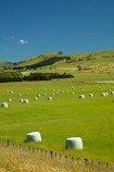 agricultural;agriculture;bale;bales;blue-skies;blue-sky;country;countryside;farm;farming;farmland;farms;field;fields;hay;hay-bale;hay-bales;hill;hills;Lower-North-Island;Martinborough;meadow;meadows;N.I.;N.Z.;New-Zealand;NI;North-Is;North-Island;NZ;paddock;paddocks;pasture;pastures;rural;sky;Wairarapa