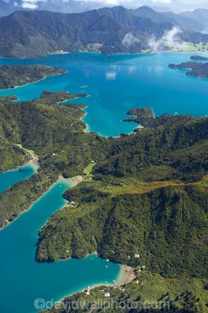aerial;aerials;bay;bays;beautiful;beauty;bush;coast;coastal;coastline;coastlines;coasts;cove;coves;endemic;fence-bay;forest;forests;green;inlet;inlets;Kenepuru-Sound;marlborough;Marlborough-Sounds;Mistletoe-Bay;native;native-bush;natives;natural;nature;new-zealand;nz;queen-charlotte-sound;scene;scenic;sea;shore;shoreline;shorelines;shores;sound;sounds;south-island;Te-Mahia-Bay;tree;trees;water;Waterfall-Bay;woods