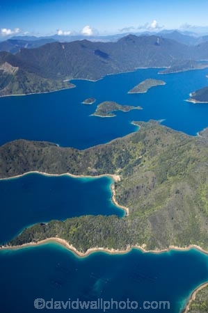 aerial;aerials;bay;bays;beautiful;beauty;bush;Canoe-Bay;coast;coastal;coastline;coastlines;coasts;cove;coves;endemic;Fitzroy-Bay;forest;forests;green;inlet;inlets;marlborough;Marlborough-Sounds;native;native-bush;natives;natural;nature;new-zealand;nz;scene;scenic;sea;shore;shoreline;shorelines;shores;sound;sounds;south-island;Tennyson-Inlet;tree;trees;water;woods