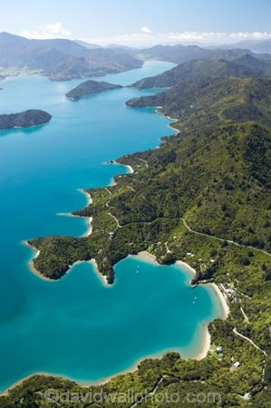 aerial;aerials;bay;bays;beautiful;beauty;bush;coast;coastal;coastline;coastlines;coasts;cove;coves;endemic;forest;forests;green;inlet;inlets;Kenepuru-Sound;marlborough;Marlborough-Sounds;native;native-bush;natives;natural;nature;new-zealand;nz;scene;scenic;sea;shore;shoreline;shorelines;shores;sound;sounds;south-island;te-mahia;Te-Mahia-Bay;tree;trees;water;woods