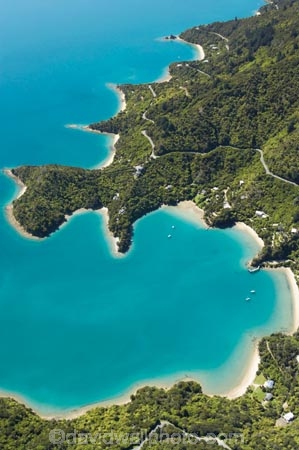 aerial;aerials;bay;bays;beautiful;beauty;bush;coast;coastal;coastline;coastlines;coasts;cove;coves;endemic;forest;forests;green;inlet;inlets;Kenepuru-Sound;marlborough;Marlborough-Sounds;native;native-bush;natives;natural;nature;new-zealand;nz;scene;scenic;sea;shore;shoreline;shorelines;shores;sound;sounds;south-island;te-mahia;Te-Mahia-Bay;tree;trees;water;woods