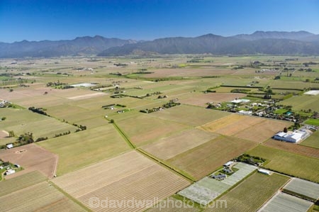 aerial;aerials;agricultural;agriculture;blenheim;country;countryside;crop;crops;cultivate;cultivation;farm;farming;farmland;farms;field;fields;grape;grapes;grapevine;horticulture;marlborough;meadow;meadows;n.z.;New-Zealand;nz;paddock;paddocks;pasture;pastures;row;rows;rural;South-Island;vine;vines;vineyard;vineyards;vintage;wine;wineries;winery;wines