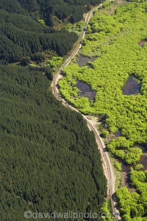 aerial;aerials;Blenheim-_-Picton-Railway-Line;exotic-forest;exotic-forestry;exotic-forests;forest;forestry;forests;marlborough;n.z.;New-Zealand;nz;pine-tree;pine-trees;rail-road;rail-roads;railroad;railroads;railway;railway-lines;South-Island;swamp;swampy;timber;tree;trees;trunk;trunks;Tuamarina-River;willow;willow-tree;willow-trees;willows;wood;woods