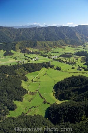 aerial;aerials;agricultural;agriculture;blenheim-_-picton-road;country;countryside;crop;crops;exotic-forest;exotic-forestry;exotic-forests;farm;farming;farmland;farms;field;fields;forest;forestry;forests;horticulture;korimiko;marlborough;meadow;meadows;mount-pleasant;mt-pleasant;mt.-pleasant;n.z.;New-Zealand;nz;paddock;paddocks;pasture;pastures;pine-tree;pine-trees;rural;South-Island;timber;tree;trees;trunk;trunks;wood;woods