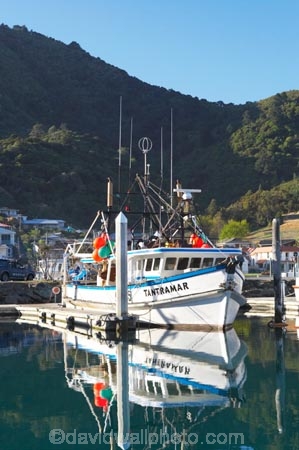 boat;boats;calm;calmness;fishing-boats;harbor;harbors;harbour;harbours;hull;hulls;launch;launches;marina;marinas;Marlborough;Marlborough-Sounds;mast;masts;moor;mooring;moorings;New-Zealand;peaceful;peacefulness;Picton;port;ports;Queen-Charlotte-Sound;reflection;reflections;sail;sailing;South-Island;still;stillness;tranquil;tranquility;yacht;yachts