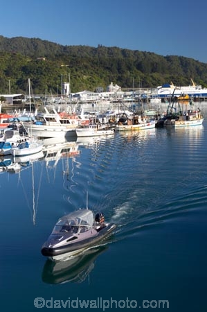 boat;boats;calm;calmness;fishing-boats;harbor;harbors;harbour;harbours;hull;hulls;launch;launches;marina;marinas;Marlborough;Marlborough-Sounds;mast;masts;moor;mooring;moorings;New-Zealand;peaceful;peacefulness;Picton;port;ports;Queen-Charlotte-Sound;reflection;reflections;sail;sailing;South-Island;still;stillness;tranquil;tranquility;yacht;yachts