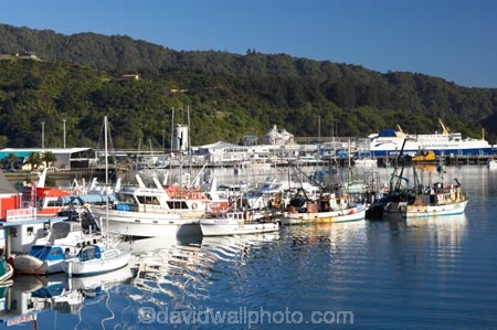 boat;boats;calm;calmness;fishing-boats;harbor;harbors;harbour;harbours;hull;hulls;launch;launches;marina;marinas;Marlborough;Marlborough-Sounds;mast;masts;moor;mooring;moorings;New-Zealand;peaceful;peacefulness;Picton;port;ports;Queen-Charlotte-Sound;reflection;reflections;sail;sailing;South-Island;still;stillness;tranquil;tranquility;yacht;yachts
