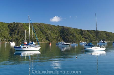 boat;boats;calm;calmness;fishing-boats;harbor;harbors;harbour;harbours;hull;hulls;launch;launches;marina;marinas;Marlborough;Marlborough-Sounds;mast;masts;moor;mooring;moorings;New-Zealand;peaceful;peacefulness;Picton;port;ports;Queen-Charlotte-Sound;reflection;reflections;sail;sailing;South-Island;still;stillness;tranquil;tranquility;Waikawa;Waikawa-Bay;yacht;yachts