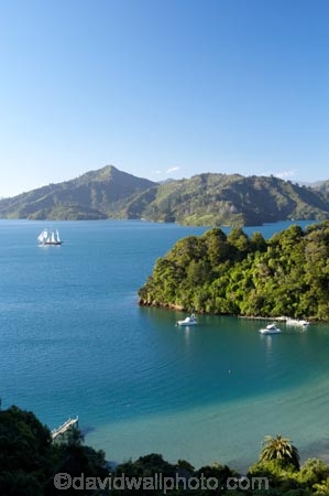 bay;bays;Becks-Bay;coast;coastal;coastline;Grove-Arm;Marlborough;Marlborough-Sounds;moor;mooring;moorings;New-Zealand;Queen-Charlotte-Sound;South-Island;Spirit-of-Adventure;Spirit-of-New-Zealand;Whenuanui-Bay