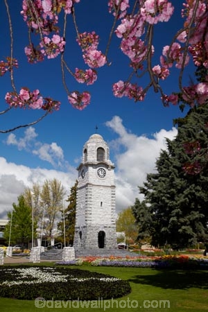 Blenheim;bloom;blooming;blooms;blossom;blossoming;blossoms;clock-tower;flower;flowers;fresh;grow;growth;heritage;historic;historic-place;historic-places;historic-site;historic-sites;historical;historical-place;historical-places;historical-site;historical-sites;history;Marlborough;memorial-clock-tower;N.Z.;New-Zealand;NZ;old;park;parks;renew;S.I.;season;seasonal;seasons;Seymore-Sq;Seymore-Square;Seymour-Square;SI;South-Is;South-Is.;South-Island;spring;spring-time;spring_time;springtime;Sth-Is;tradition;traditional;war-memorial-clock-tower