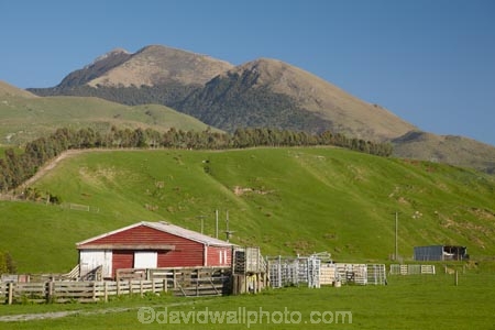 agricultural;agriculture;barn;barns;country;countryside;farm;Farm-Building;Farm-Buildings;Farm-Shed;Farm-Sheds;farming;farmland;farms;field;fields;hill;hills;Kaikoura-Coast;Marlborough;meadow;meadows;N.Z.;New-Zealand;northern;NZ;paddock;paddocks;pasture;pastures;range;ranges;rural;S.I.;Shearing-Shed;Shearing-Sheds;Sheep-Shed;Sheep-Sheds;SI;South-Is;South-Island;Sth-Is;Ward;Wool-Shed;Wool-Sheds;woolshed;woolsheds