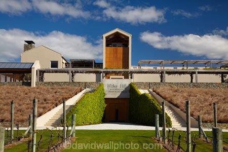 agricultural;agriculture;Blenheim;country;countryside;crop;crops;cultivation;farm;farming;farmland;farms;field;fields;grape;grapes;grapevine;horticulture;Marlborough;N.Z.;New-Zealand;NZ;row;rows;rural;S.I.;SI;South-Is;South-Island;Sth-Is;vine;vines;vineyard;vineyards;vintage;wine;wineries;winery;wines;Wither-Hills;Wither-Hills-Vineyard;Wither-Hills-Winery