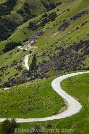 agricultural;agriculture;bend;bends;corner;corners;country;countryside;curve;curves;farm;farming;farmland;farms;field;fields;gravel-road;gravel-roads;Marlborough;meadow;meadows;metal-road;metal-roads;metalled-road;metalled-roads;N.Z.;New-Zealand;NZ;paddock;paddocks;pasture;pastures;road;roads;rural;S.I.;SI;South-Is;South-Is.;South-Island;Sth-Is;unpaved-road;unpaved-roads;Ure-Valley;UreWaima-Valley;Waima-Ure-Valley;Waima-River-Valley;Waima-Valley;WaimaUre-Valley