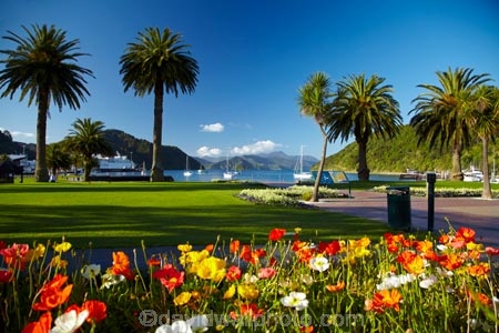 bloom;blooms;blooning;floral;flower;flower-bed;flower-beds;flower-garden;flower-gardens;flowers;Foreshore-Reserve;garden;gardens;Marlborough;Marlborough-Sounds;N.Z.;New-Zealand;NZ;palm;palm-tree;palm-trees;palms;park;parks;Picton;Picton-Foreshore-Reserve;Picton-Harbor;Picton-Harbour;public-flower-garden;public-garden;public-gardens;Queen-Charlotte-Sound;S.I.;SI;South-Is;South-Island;Sth-Is