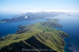 aerial;aerials;bay;bays;coast;coastal;coastline;coastlines;coasts;cove;coves;Croisilles-_-French-Pass-Road;DUrville-Island;French-Pass;French-Pass-Road;inlet;inlets;marlborough;Marlborough-Sounds;new-zealand;nz;rangitoto-ke-te-tonga;sea;shore;shoreline;shorelines;shores;sound;sounds;south-island;water