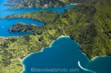 aerial;aerials;bay;bays;beautiful;beauty;boat;boats;bush;coast;coastal;coastline;coastlines;coasts;cove;coves;cruise;cruises;Double-Cove;endemic;forest;forests;green;inlet;inlets;launch;launches;Lochmara-Bay;marlborough;Marlborough-Sounds;native;native-bush;natives;natural;nature;new-zealand;nz;pleasure-boat;pleasure-boats;queen-charlotte-sound;scene;scenic;sea;shore;shoreline;shorelines;shores;sound;sounds;south-island;speed-boat;speed-boats;Torea-Bay;tree;trees;wake;water;woods