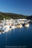boat;boats;calm;calmness;fishing-boats;harbor;harbors;harbour;harbours;hull;hulls;launch;launches;marina;marinas;Marlborough;Marlborough-Sounds;mast;masts;New-Zealand;peaceful;peacefulness;Picton;port;ports;Queen-Charlotte-Sound;reflection;reflections;sail;sailing;South-Island;still;stillness;tranquil;tranquility;yacht;yachts