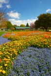 Blenheim;bloom;blooming;blooms;Botanic-Garden;Botanic-Gardens;Botanical-Garden;Botanical-Gardens;floral;flower;flower-beds;flower-garden;flower-gardens;flowers;fresh;grow;growth;Marlborough;N.Z.;New-Zealand;NZ;orange;park;parks;Pollard-Park;renew;S.I.;season;seasonal;seasons;SI;South-Is;South-Is.;South-Island;spring;spring-time;spring_time;springtime;Sth-Is;violet;yellow