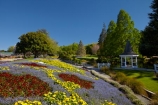 Blenheim;bloom;blooming;blooms;blossom;blossoming;blossoms;Botanic-Garden;Botanic-Gardens;Botanical-Garden;Botanical-Gardens;floral;flower;flower-beds;flower-garden;flower-gardens;flowers;fresh;grow;growth;lilac;Marlborough;mauve;N.Z.;New-Zealand;NZ;park;parks;Pollard-Park;purple;red;renew;S.I.;season;seasonal;seasons;SI;South-Is;South-Is.;South-Island;spring;spring-time;spring_time;springtime;Sth-Is;tree;trees;violet;yellow-flowers