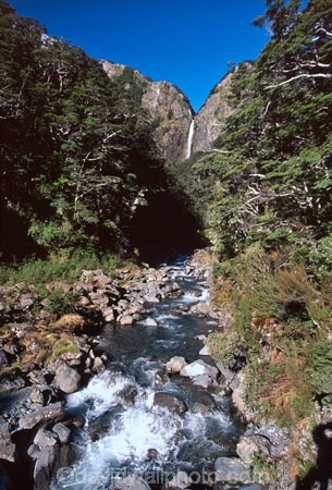 brook;brooks;bubbling;bush;creek;creeks;falls;forest;forests;native;natural;nature;rapid;rapids;river;rivers;rock;rocks;stream;streams;water-fall;water-falls;waterfall;waterfalls