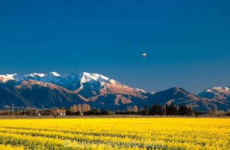 agriculture;balloons;color;colors;colour;colours;countryside;crop;cropping;crops;cultivation;farm;farming;farmland;farms;fields;flower;flowers;garden;gardens;horticulture;mountain;mountains;paddock;paddocks;rape-seed;rural;snow;yellow