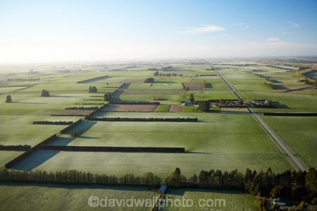 aerial;aerials;agricultural;agriculture;canterbury;cold;country;countryside;crop;crops;early;early-morning;farm;farming;farmland;farms;field;fields;freeze;frost;frostry;frosts;horticulture;meadow;meadows;morning;paddock;paddocks;pasture;pastures;peneplain;plain;plains;rural;shelter-belt;shelter-belts;shelter_belt;shelter_belts;shelterbelt;shelterbelts;sub_zero;wind-break;wind-breaks;wind_break;wind_breaks;windbreak;windbreaks