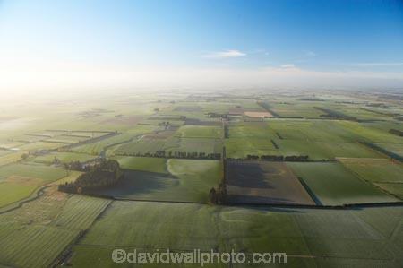 aerial;aerials;agricultural;agriculture;canterbury;cold;country;countryside;crop;crops;early;early-morning;farm;farming;farmland;farms;field;fields;fog;foggy;freeze;frost;frostry;frosts;horticulture;meadow;meadows;misty;morning;paddock;paddocks;pasture;pastures;peneplain;plain;plains;rural;shelter-belt;shelter-belts;shelter_belt;shelter_belts;shelterbelt;shelterbelts;sub_zero;wind-break;wind-breaks;wind_break;wind_breaks;windbreak;windbreaks