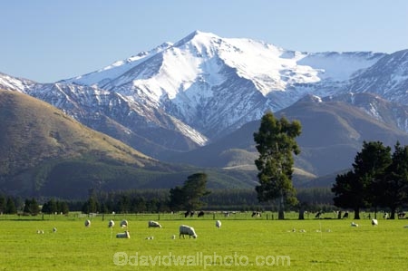 agricultural;agriculture;alp;alpine;alps;altitude;canterbury;country;countryside;crop;crops;farm;farming;farmland;farms;field;fields;high-altitude;horticulture;main-divide;meadow;meadows;Methven;mount;mount-hutt;mountain;mountain-peak;mountainous;mountains;mountainside;mt;mt-hutt;mt.;mt.-hutt;New-Zealand;paddock;paddocks;pasture;pastures;peak;peaks;peneplain;plain;plains;range;ranges;rural;sheep;snow;snow-capped;snow_capped;snowcapped;snowy;South-Island;southern-alps;summit;summits