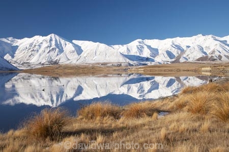 calm;Canterbury;Canterbury-Foothills;cold;Hakatere-Conservation-Park;lake;Lake-Heron;lakes;Mid-Canterbury;Mount-Catherine;Mt-Catherine;Mt.-Catherine;N.Z.;New-Zealand;NZ;placid;quiet;reflection;reflections;S.I.;season;seasonal;seasons;serene;SI;smooth;snow;snowy;South-Is;South-Island;still;Taylor-Range;tranquil;tussock;tussocks;water;white;winter;wintery