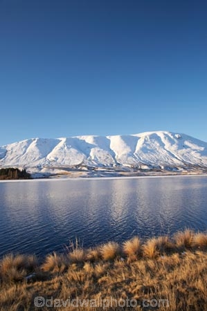 calm;Canterbury;cold;Hakatere-Conservation-Park;lake;Lake-Clearwater;lakes;Mid-Canterbury;Mount-Guy;Mt-Guy;Mt.-Guy;N.Z.;New-Zealand;NZ;placid;quiet;reflection;reflections;S.I.;season;seasonal;seasons;serene;SI;smooth;snow;snowy;South-Is;South-Island;still;tranquil;tussock;tussocks;water;white;winter;wintery