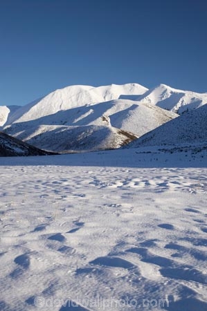 agricultural;agriculture;alp;alpine;alps;altitude;Canterbury;cold;Coleridge-Lyndon-Road;country;countryside;farm;farming;farmland;farms;field;fields;Lyndon-Rd;Lyndon-Road;meadow;meadows;Mid-Canterbury;mount;mountain;mountain-peak;mountainous;mountains;mt;mt.;N.Z.;New-Zealand;NZ;paddock;paddocks;pasture;pastures;peak;peaks;range;ranges;Red-Hill;rural;S.I.;season;seasonal;seasons;SI;snow;snow-capped;snow_capped;snowcapped;snowy;South-Is;South-Island;summit;summits;white;winter;wintery