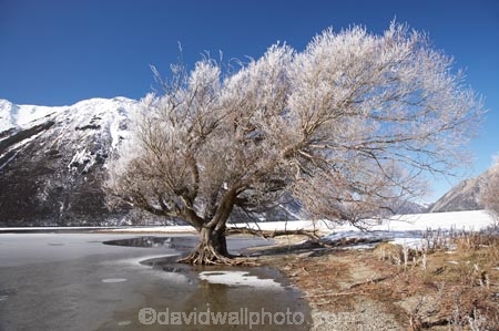alp;alpine;alps;altitude;Arthurs-Pass-Road;beautiful;calm;calmness;Canterbury;clean;clear;cold;Coldness;Color;Colour;Daytime;Exterior;extreme-weather;freeze;freezing;freezing-fog;frost;Frosted;frosts;frosty;frozen;frozen-lake;frozen-lakes;frozen-water;high-country;hoar-frost;hoar-frosts;Hoarfrost;hoarfrosts;ice;ice-crystals;icy;idyllic;lake;Lake-Pearson;Lake-Pearson-Moana-Rua-Wildlife-Refuge;lakes;Landscape;Landscapes;mount;mountain;mountain-peak;mountainous;mountains;mt;mt.;N.Z.;natural;Nature;new-zealand;NZ;Outdoor;Outdoors;Outside;peaceful;Peacefulness;peak;peaks;phenomena;phenomenon;pure;Quiet;Quietness;range;ranges;rime;rime-ice;S.I.;Scenic;Scenics;season;seasonal;Seasons;SI;silence;snow;snow-capped;snow_capped;snowcapped;snowy;South-Is;south-island;spectacular;State-Highway-73;State-Highway-Seventy-Three;stunning;summit;summits;tranquil;tranquility;tree;trees;view;water;weather;White;willow;willow-tree;willow-trees;willows;winter;Wintertime;wintery;wintry