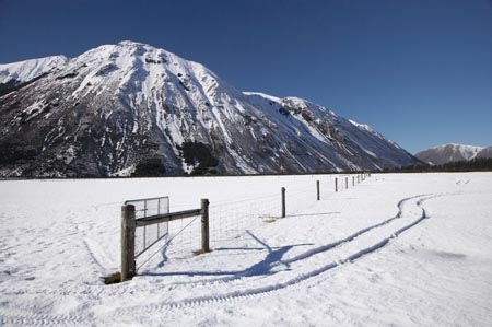 agricultural;agriculture;alp;alpine;alps;altitude;Arthurs-Pass-Road;Canterbury;cold;country;countryside;farm;farming;farmland;farms;fence;fence-line;fence-lines;fence_line;fence_lines;fenceline;fencelines;fences;field;fields;meadow;meadows;mount;mountain;mountain-peak;mountainous;mountains;mt;Mt-St-Bernard;Mt-St.-Bernard;mt.;Mt.-St.-Bernard;N.Z.;New-Zealand;NZ;paddock;paddocks;pasture;pastures;peak;peaks;Purple-Hill;range;ranges;rural;S.I.;season;seasonal;seasons;SI;snow;snow-capped;snow_capped;snowcapped;snowy;South-Is;South-Island;State-Highway-73;State-Highway-Seventy-Three;summit;summits;tracks-in-snow;white;winter;wintery