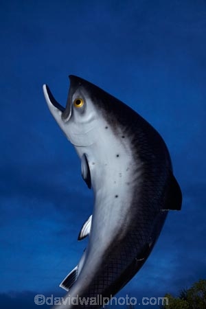 art;art-work;art-works;Canterbury;dusk;evening;fish;Fish-Statue;fishes;Mid-Canterbury;N.Z.;New-Zealand;night;night-time;NZ;public-art;public-art-work;public-art-works;public-sculpture;public-sculptures;Rakaia;S.I.;salmon;Salmon-Statue;sculpture;sculptures;SI;South-Is.;South-Island;twilight