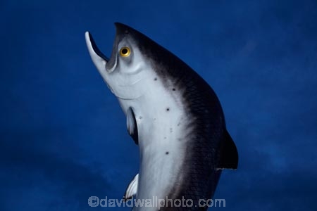 art;art-work;art-works;Canterbury;dusk;evening;fish;Fish-Statue;fishes;Mid-Canterbury;N.Z.;New-Zealand;night;night-time;NZ;public-art;public-art-work;public-art-works;public-sculpture;public-sculptures;Rakaia;S.I.;salmon;Salmon-Statue;sculpture;sculptures;SI;South-Is.;South-Island;twilight