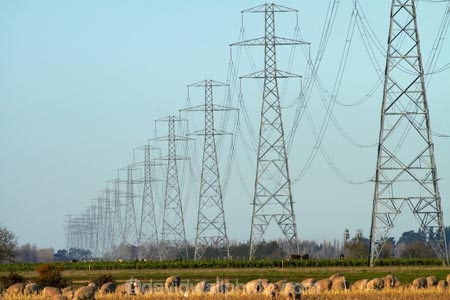 agricultural;agriculture;Canterbury;country;countryside;electricity;electricity-line;electricity-lines;electricity-pylon;electricity-pylons;electricity-transmission;energy;farm;farming;farmland;farms;field;fields;high-tension-lines;industrial;line;lines;meadow;meadows;Mid-Canterbury;N.Z.;national-grid;New-Zealand;NZ;paddock;paddocks;pasture;pastures;pole;poles;post;posts;power;power-cable;power-cables;power-line;power-lines;power-pole;power-poles;power-pylon;power-pylons;pylon;pylon-line;pylon-lines;pylons;rural;S.I.;sheep;SI;South-Is.;South-Island;telegraph-line;telegraph-lines;telegraph-pole;telegraph-poles;tower;towers;transmission-line;transmission-lines;wire;wires