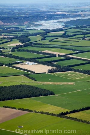 agricultural;agriculture;Aotearoa;Canterbury;Canterbury-Plains;country;countryside;crop;crops;farm;farming;farmland;farms;field;fields;horticulture;meadow;meadows;Mid-Canterbury;Mount-Hutt;Mt-Hutt;Mt.-Hutt;N.Z.;New-Zealand;NZ;paddock;paddocks;pasture;pastures;Rakaia-River;rural;South-Is;South-Island;Sth-Is;view;wind-break;wind-breaks;windbreak;windbreaks