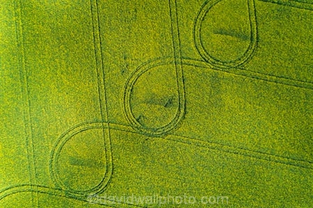 aerial;Aerial-drone;Aerial-drones;aerial-image;aerial-images;aerial-photo;aerial-photograph;aerial-photographs;aerial-photography;aerial-photos;aerial-view;aerial-views;aerials;agricultural;agriculture;canolla;canolla-field;canolla-fields;Canterbury;country;countryside;crop;crops;Drone;Drones;farm;farming;farmland;farms;field;fields;flower;flowers;horticulture;meadow;meadows;Methven;Mid-Canterbury;N.Z.;New-Zealand;NZ;paddock;paddocks;pasture;pastures;pattern;patterns;Quadcopter-aerial;Quadcopters-aerials;rapeseed;rapeseed-field;rural;S.I.;season;seasonal;seasons;SI;South-Is;South-Island;spring;spring-time;spring_time;springtime;Sth-Is;tire-tracks;tractor-tracks;tyre-tracks;U.A.V.-aerial;UAV-aerials;wheel-tracks;yellow;yellow-flower;yellow-flowers
