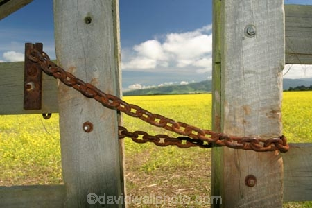 agricultural;agriculture;Canola;canterbury;chain;chained;chains;close;closed;cloud;clouds;color;colors;colour;colours;country;countryside;crop;cropping;crops;cultivate;cultivation;farm;farming;farmland;farms;fence;fences;field;fields;flower;flowers;gate;gate_way;gate_ways;gates;gateway;gateways;horticultural;horticulture;latch;lock;meadow;meadows;new-zealand;paddock;paddocks;pasture;pastures;rape-seed;rapeseed;rural;shut;sky;south-canterbury;south-island;yellow