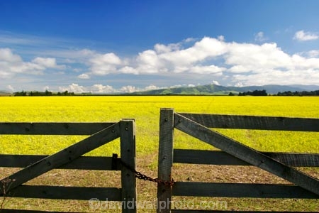 agricultural;agriculture;canterbury;chain;chained;chains;close;closed;cloud;clouds;color;colors;colour;colours;country;countryside;crop;cropping;crops;cultivate;cultivation;farm;farming;farmland;farms;fence;fences;field;fields;flower;flowers;gate;gate_way;gate_ways;gates;gateway;gateways;horticultural;horticulture;latch;lock;meadow;meadows;new-zealand;paddock;paddocks;pasture;pastures;rape-seed;rapeseed;rural;shut;sky;south-canterbury;south-island;yellow