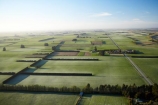 aerial;aerials;agricultural;agriculture;canterbury;cold;country;countryside;crop;crops;early;early-morning;farm;farming;farmland;farms;field;fields;freeze;frost;frostry;frosts;horticulture;meadow;meadows;morning;paddock;paddocks;pasture;pastures;peneplain;plain;plains;rural;shelter-belt;shelter-belts;shelter_belt;shelter_belts;shelterbelt;shelterbelts;sub_zero;wind-break;wind-breaks;wind_break;wind_breaks;windbreak;windbreaks
