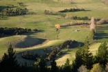 agricultural;agriculture;Canterbury;country;countryside;farm;farming;farmland;farms;field;fields;meadow;meadows;N.Z.;New-Zealand;NZ;paddock;paddocks;pasture;pastures;rural;S.I.;SI;South-Canterbury;South-Is;South-Island;Waimate