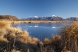 calm;Canterbury;cold;freeze;freezing;frost;frosty;frozen;frozen-lake;frozen-lakes;frozen-water;Hakatere-Conservation-Park;ice;icy;lake;Lake-Heron;lakes;Maori-Lake;Maori-Lakes;Mid-Canterbury;N.Z.;New-Zealand;NZ;placid;quiet;reflection;reflections;S.I.;season;seasonal;seasons;serene;SI;smooth;snow;snowing;snowy;South-Is;South-Island;still;tranquil;tussock;tussocks;water;white;winter;wintery